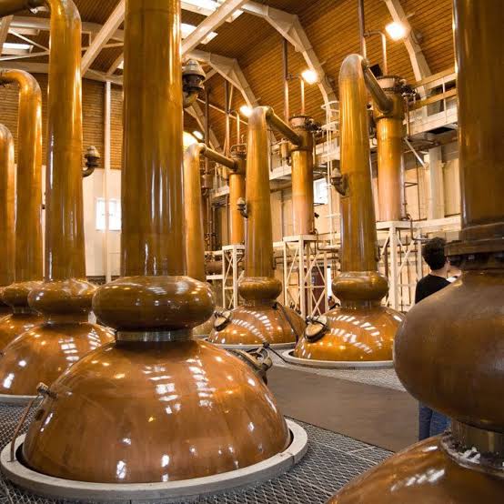 Traditional copper pot stills in a whisky distillery